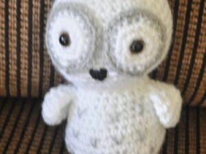 Snowy Owl | White Grey