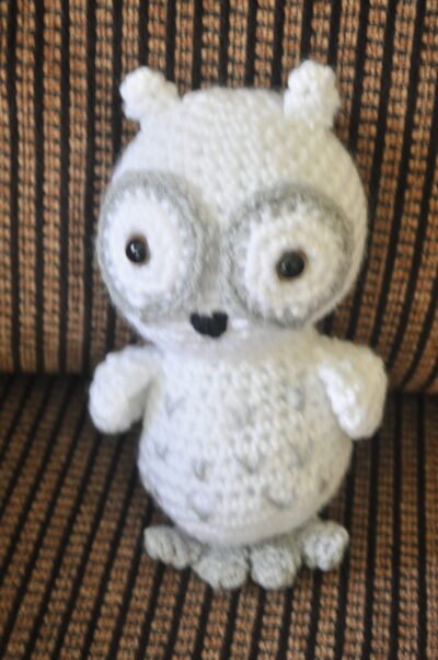Snowy Owl | White Grey