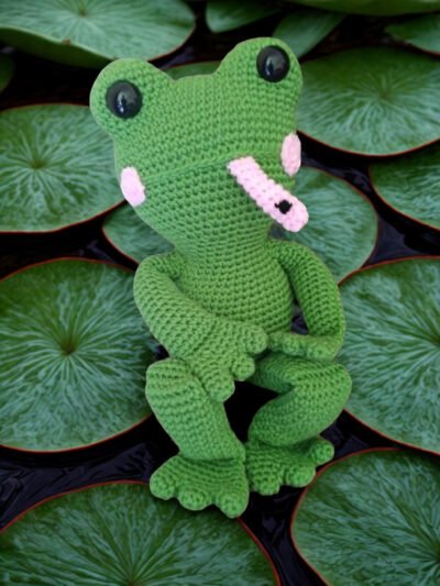Fidget the Frog